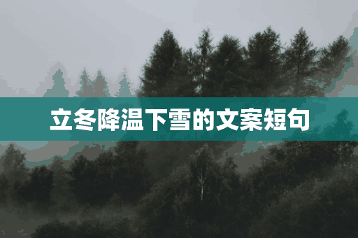 立冬降温下雪的文案短句